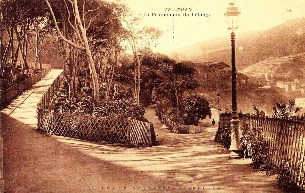 PL b - 016- Promenade de Letang B.JPG